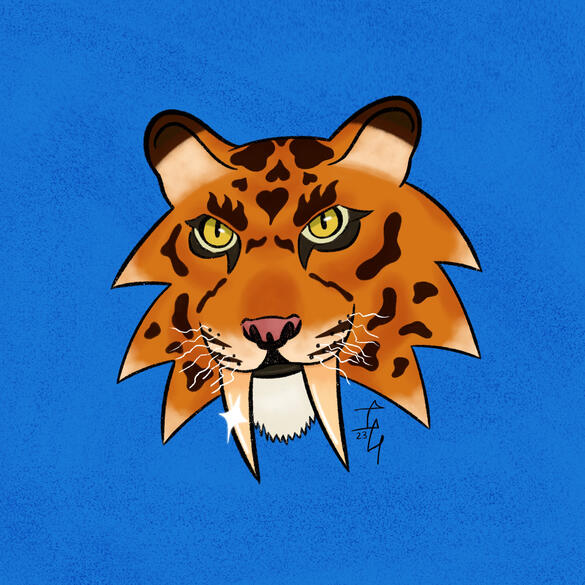 Saber Tooth Tiger